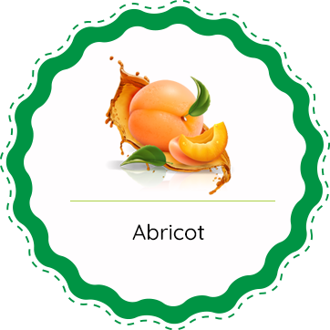 Producteur de fruits et légumes en Tarn et Garonne : abricot